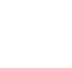 Vivrelle flower logo in white